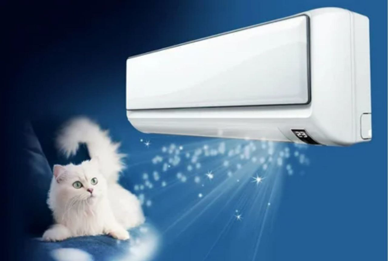 Кошка и кондиционер